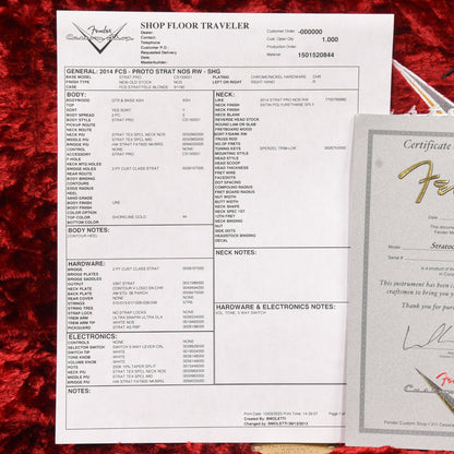 Fender Custom Shop Stratocaster Pro (w/2007 Fender Custom Shop neck) Shoreline Gold 2013 Electric Guitars / Solid Body