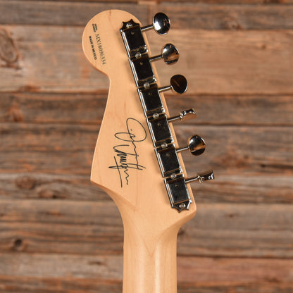 Fender Jimmie Vaughan Tex Mex Stratocaster Olympic White 2018 Electric Guitars / Solid Body