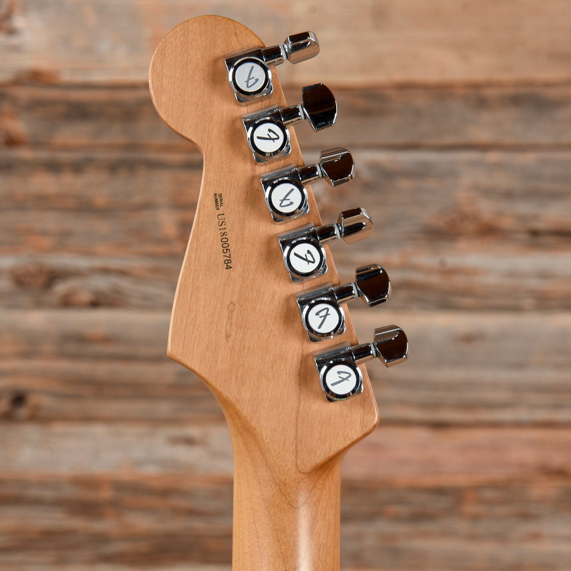 Fender Limited Edition American Professional Stratocaster w/ Roasted Maple Neck Sea Foam Green 2018 Electric Guitars / Solid Body