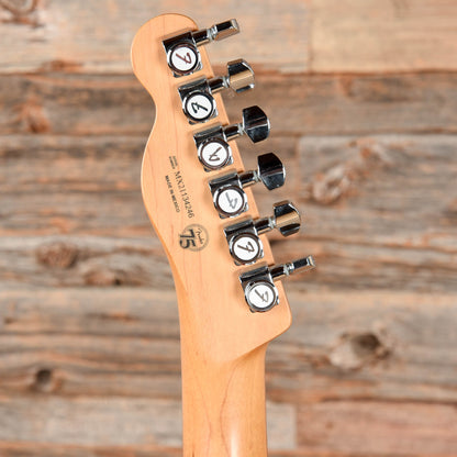 Fender Player Plus Nashville Telecaster Aged Andy Apple Red 2021 Electric Guitars / Solid Body