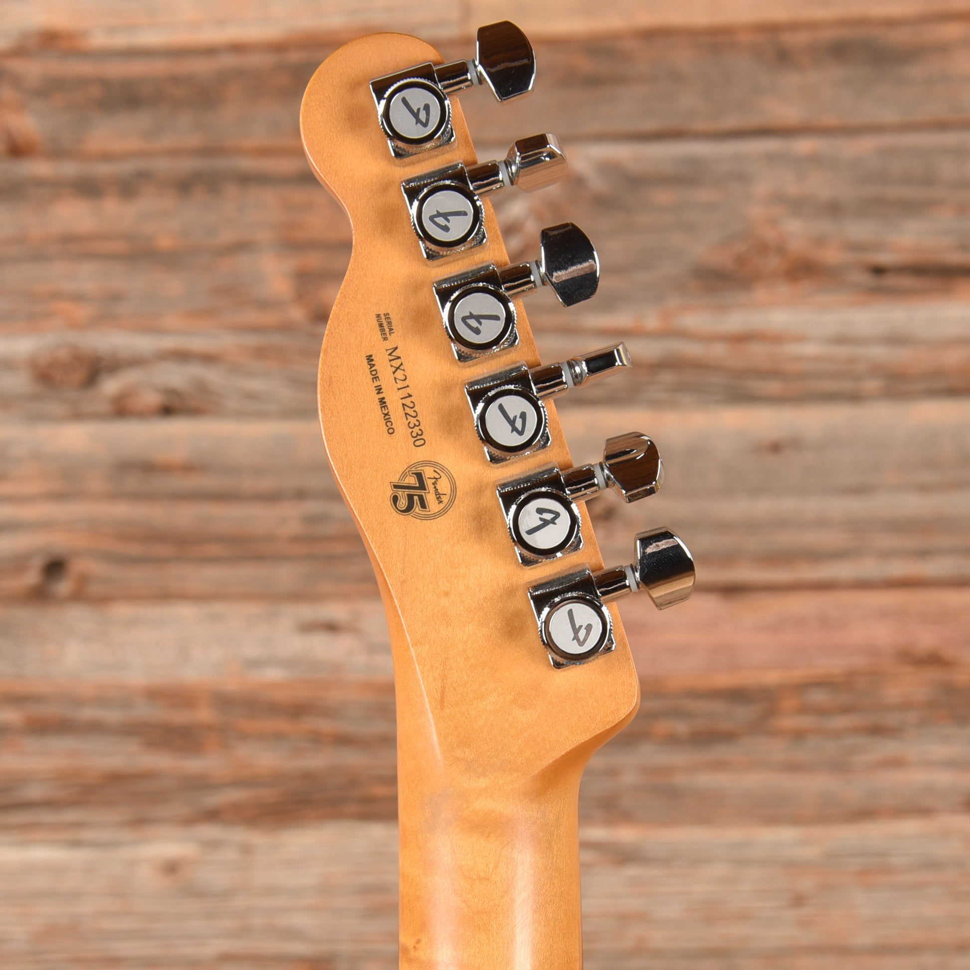 Fender Player Plus Nashville Telecaster Opal Spark 2021 Electric Guitars / Solid Body