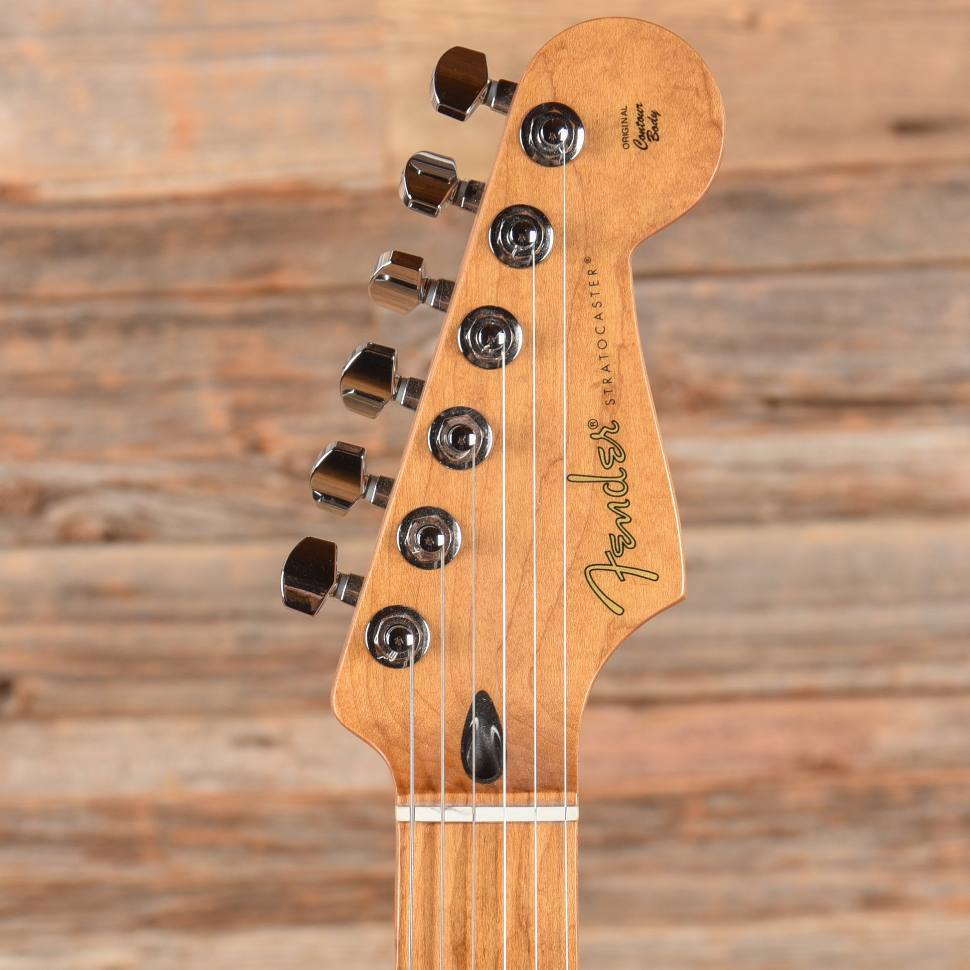 Fender Player Plus Stratocaster w/Roasted Maple Neck Blue Burst 2021 Electric Guitars / Solid Body