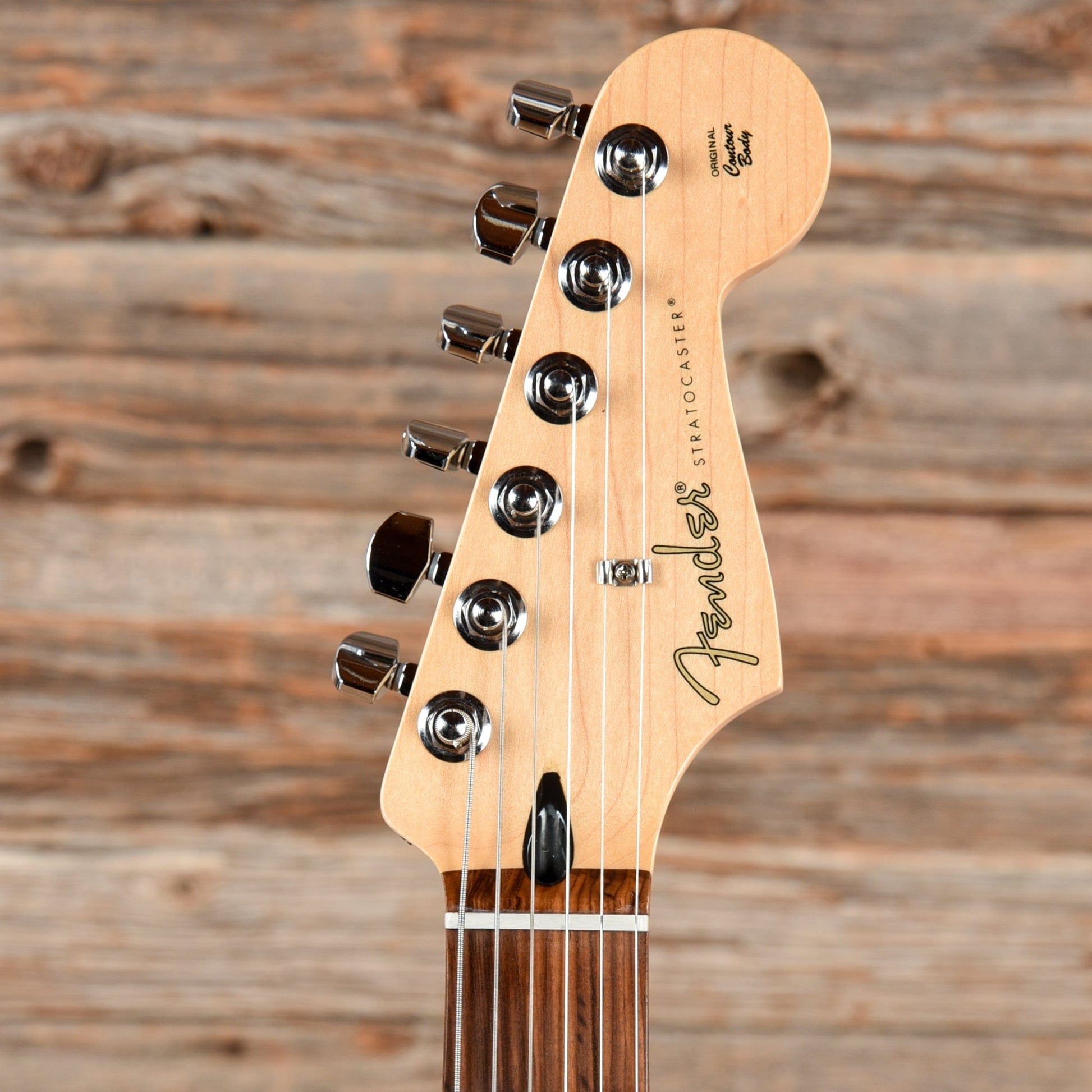 Fender Player Stratocaster Silver Electric Guitars / Solid Body