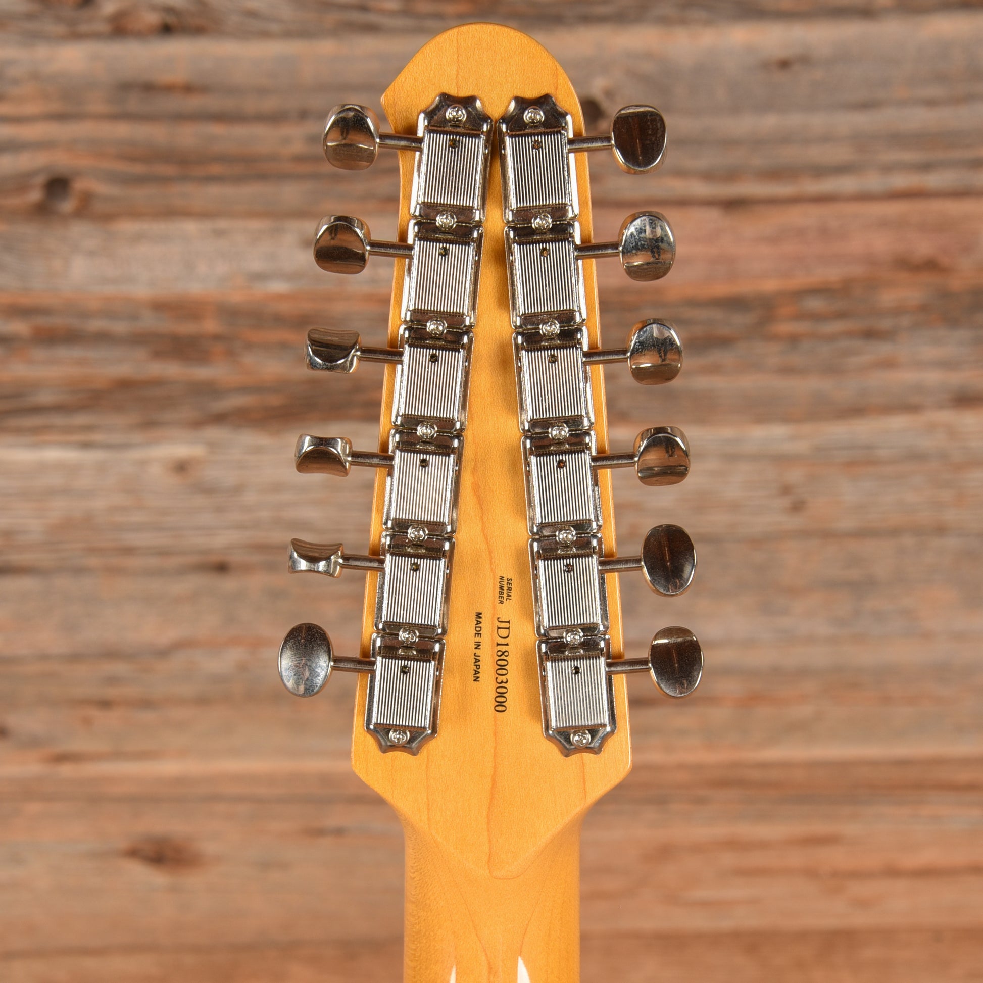 Fender Stratocaster XII Electric Guitars / Solid Body