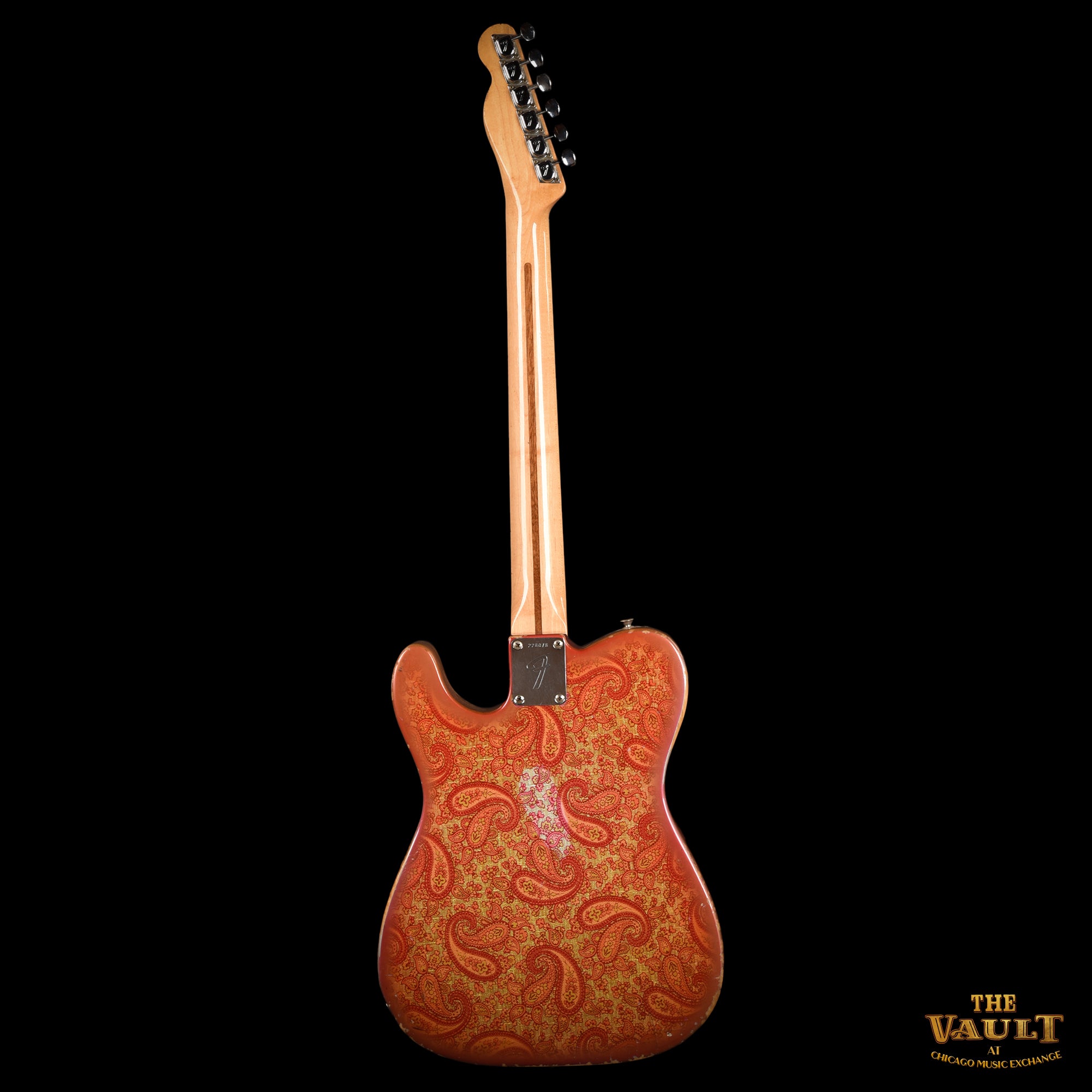 Fender Telecaster Paisley 1969 Electric Guitars / Solid Body