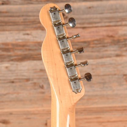 Fender TL-69 Telecaster Pink Paisley 1995 Electric Guitars / Solid Body