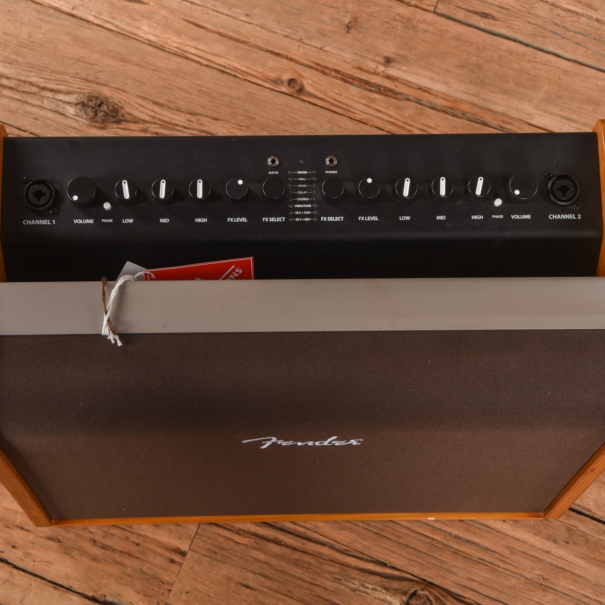 Fender Acoustic 100