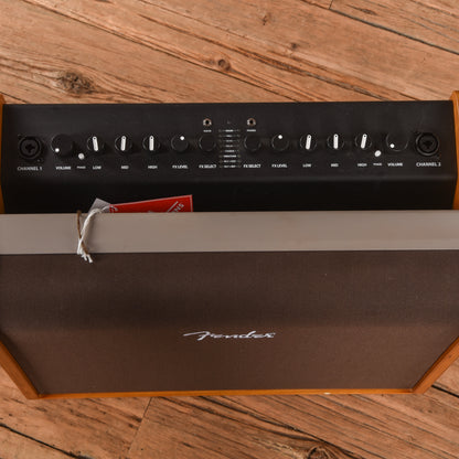 Fender Acoustic 100