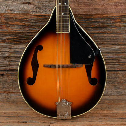 Fender FM-100 Sunburst Folk Instruments / Mandolins