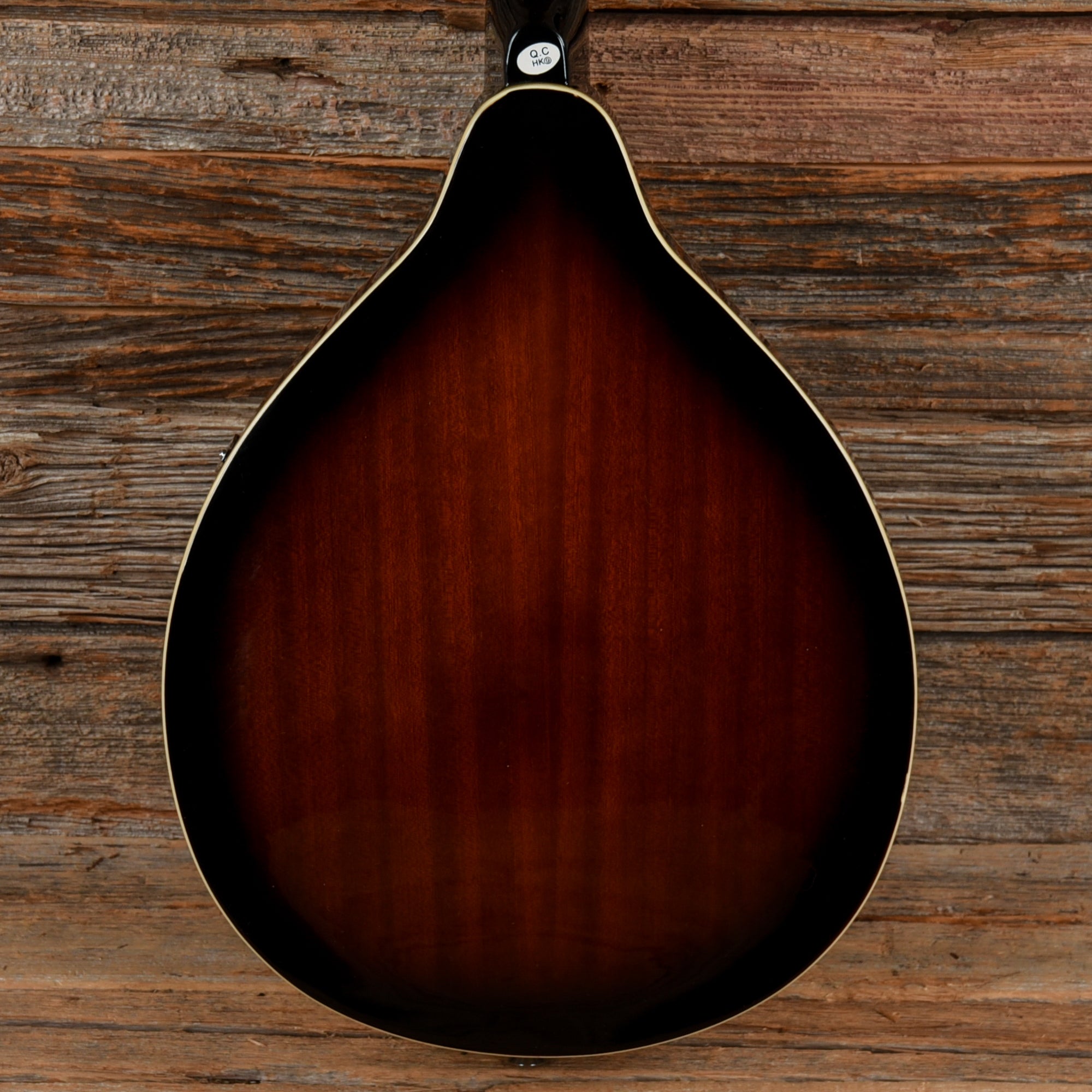 Fender FM-100 Sunburst Folk Instruments / Mandolins