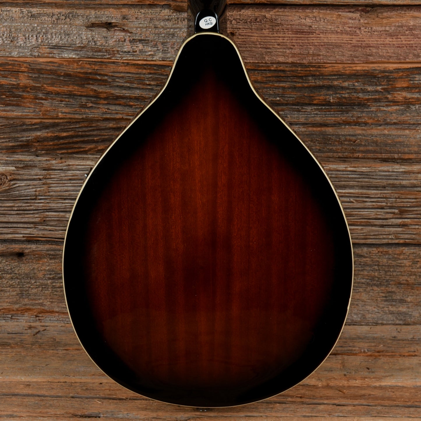 Fender FM-100 Sunburst Folk Instruments / Mandolins