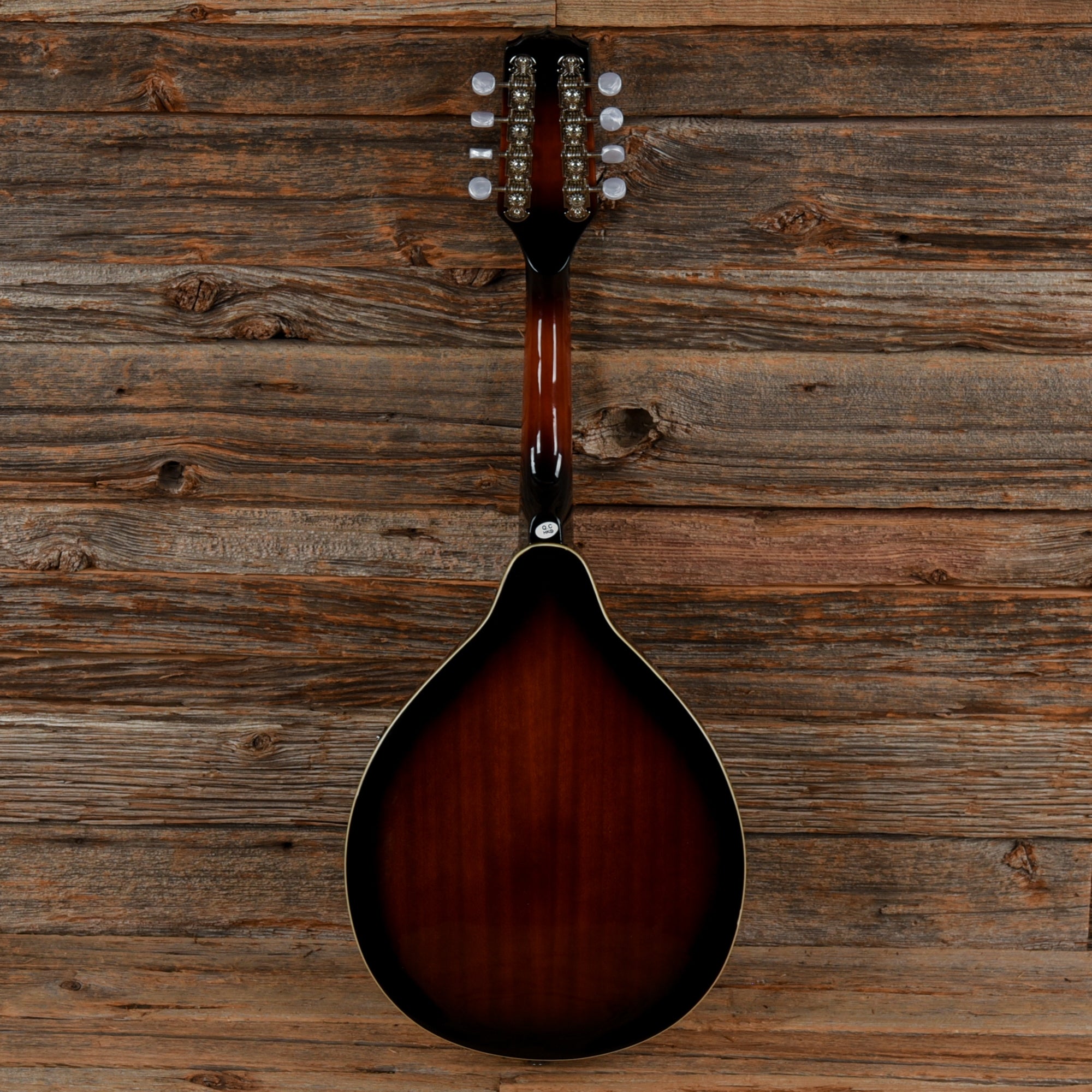 Fender FM-100 Sunburst Folk Instruments / Mandolins