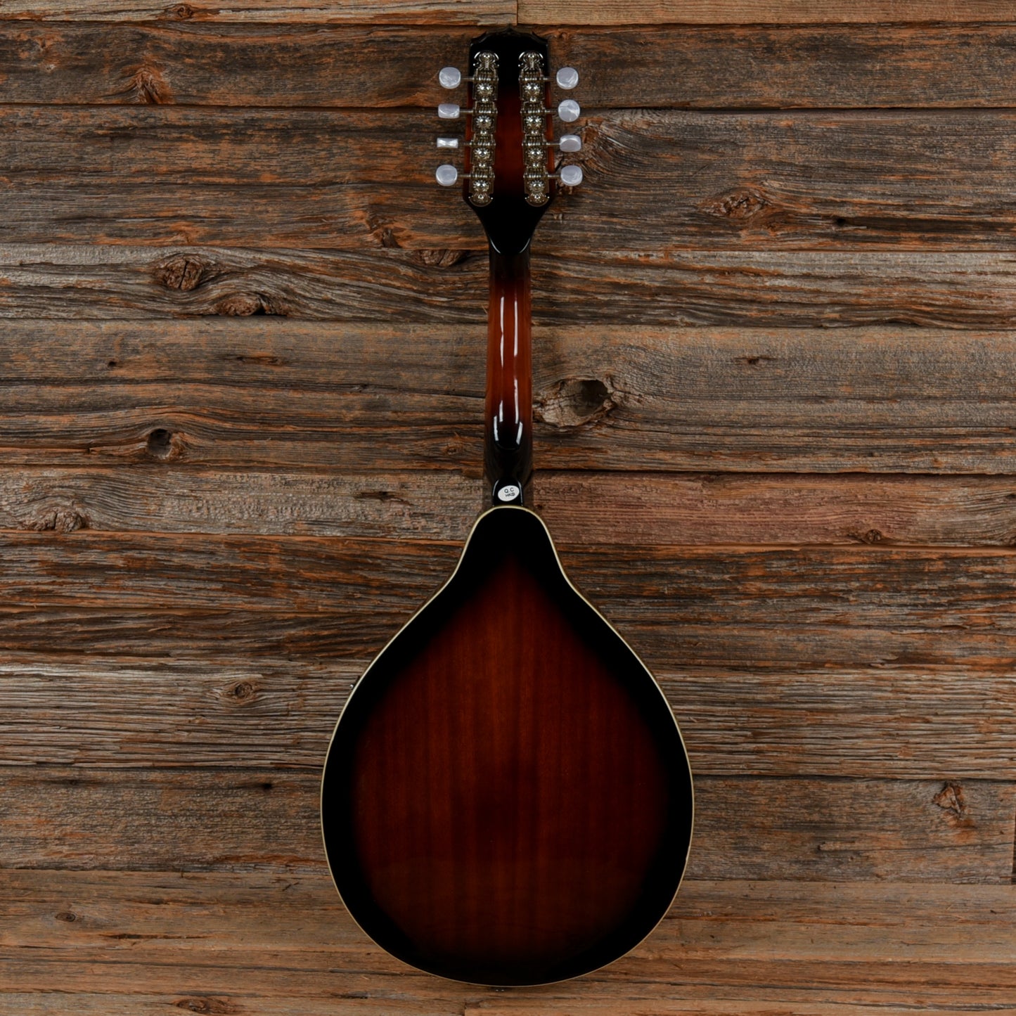 Fender FM-100 Sunburst Folk Instruments / Mandolins