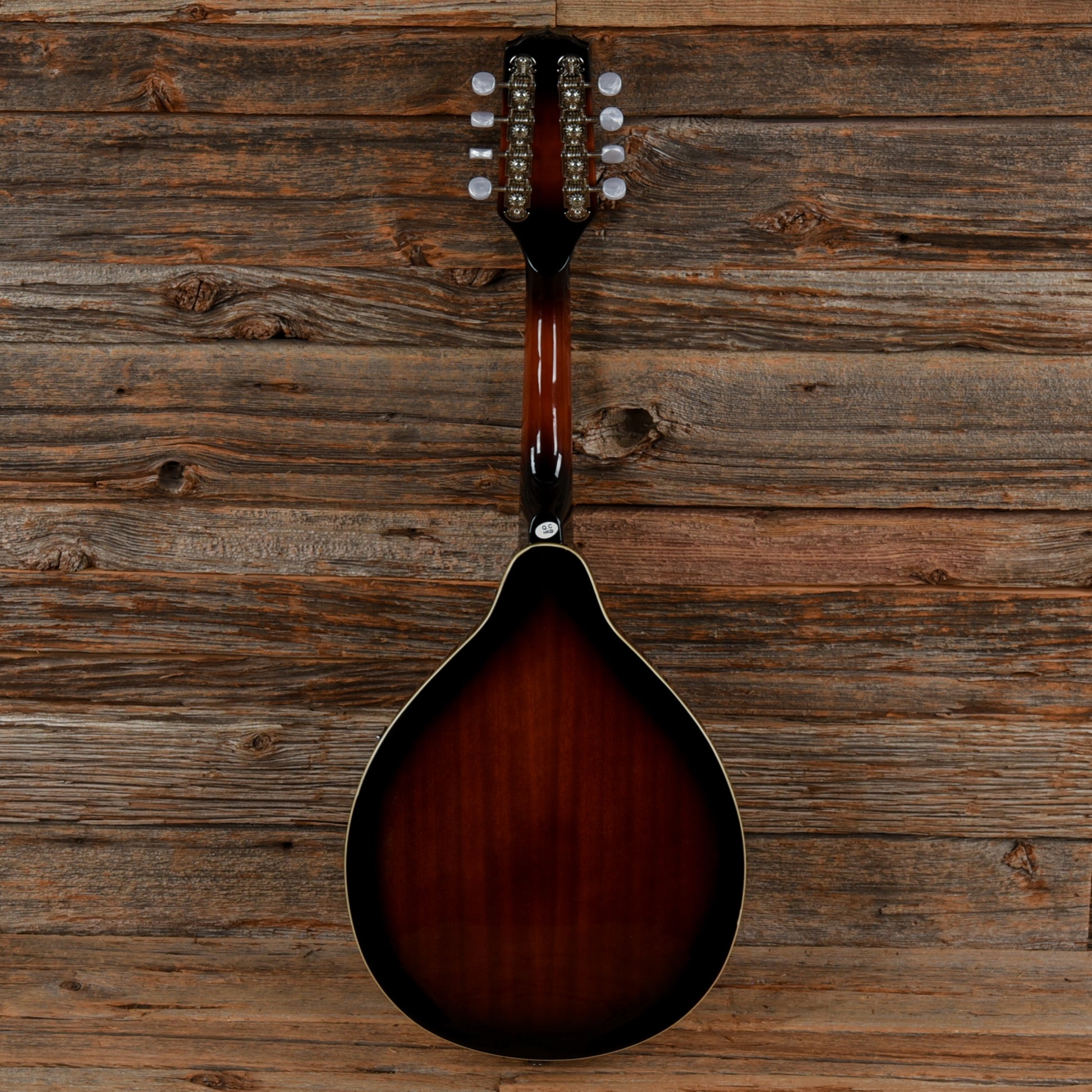 Fender FM-100 Sunburst Folk Instruments / Mandolins