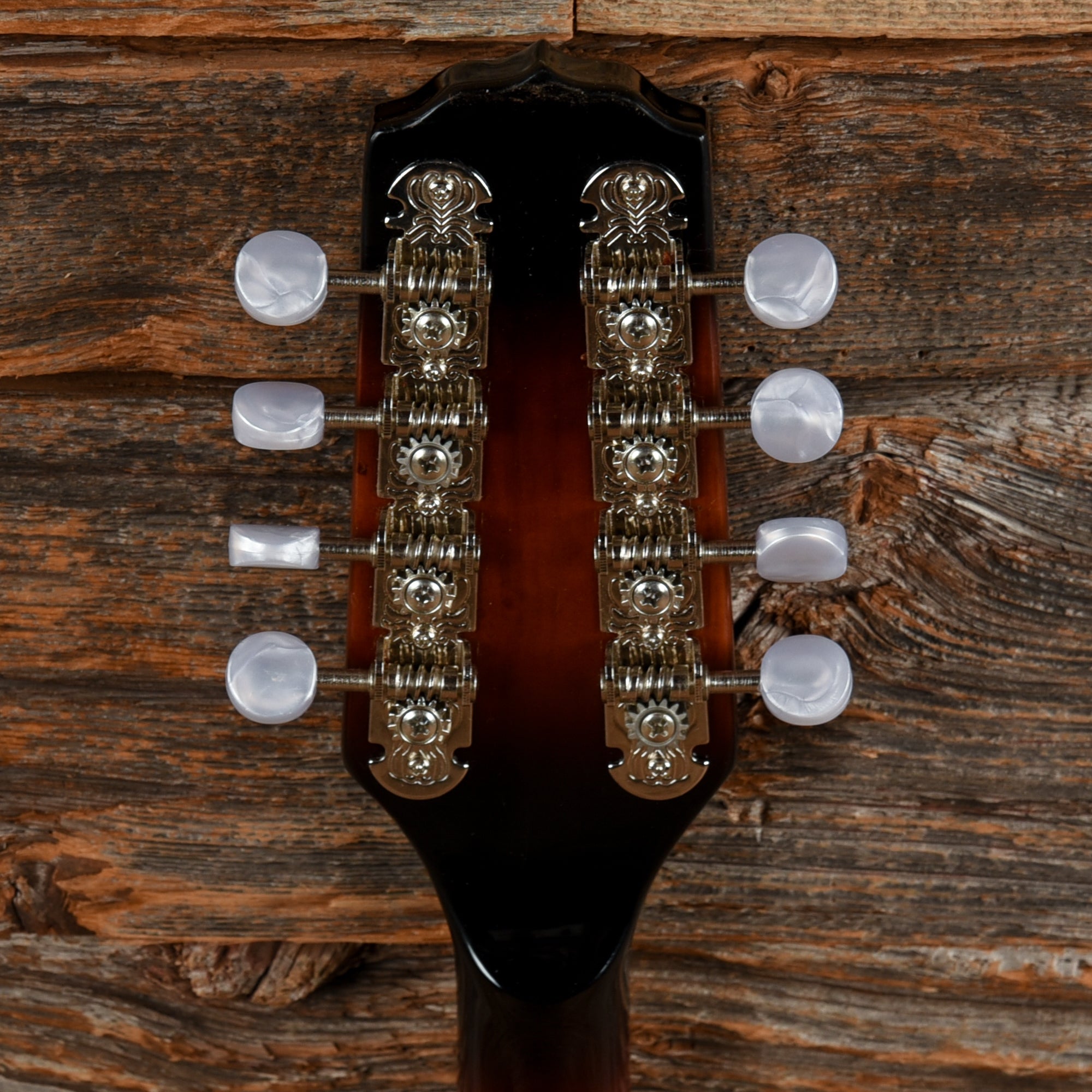 Fender FM-100 Sunburst Folk Instruments / Mandolins