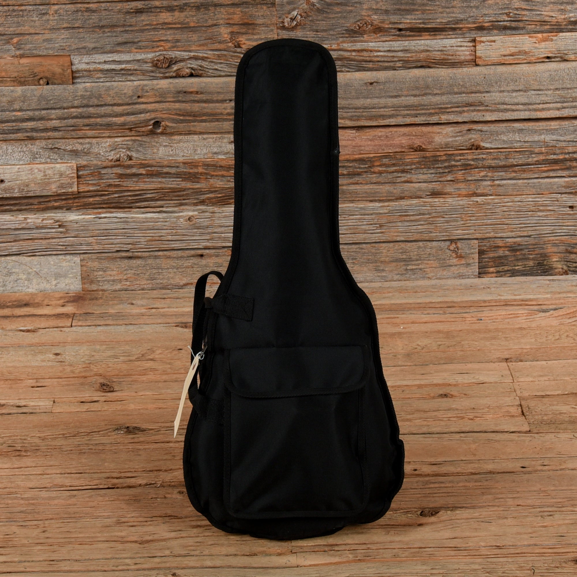 Fender FM-100 Sunburst Folk Instruments / Mandolins