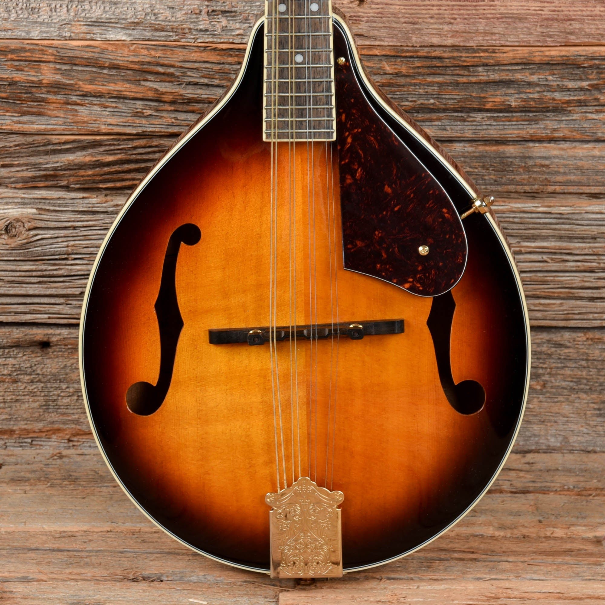 Fender FM-35S Sunburst Folk Instruments / Mandolins