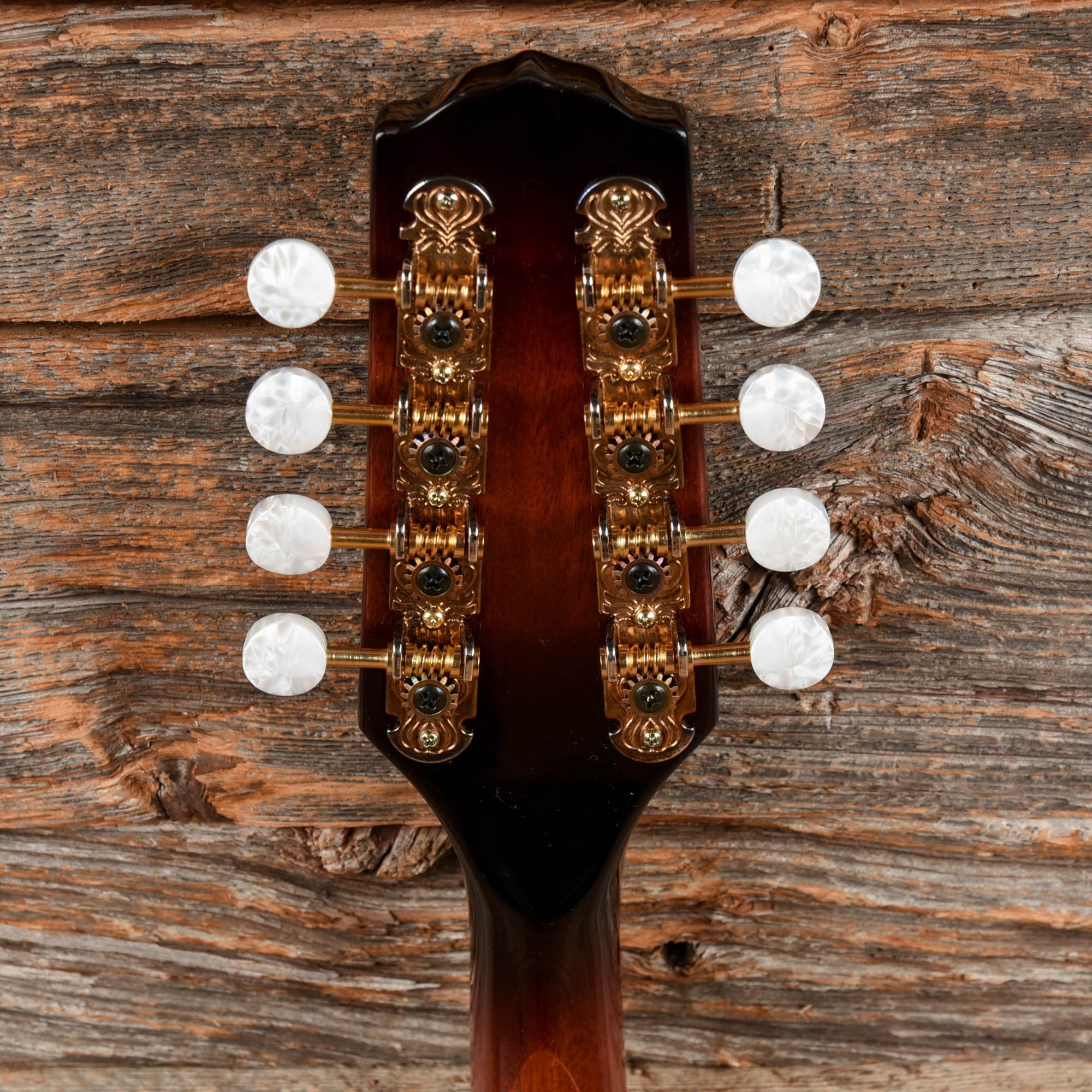 Fender FM-35S Sunburst Folk Instruments / Mandolins