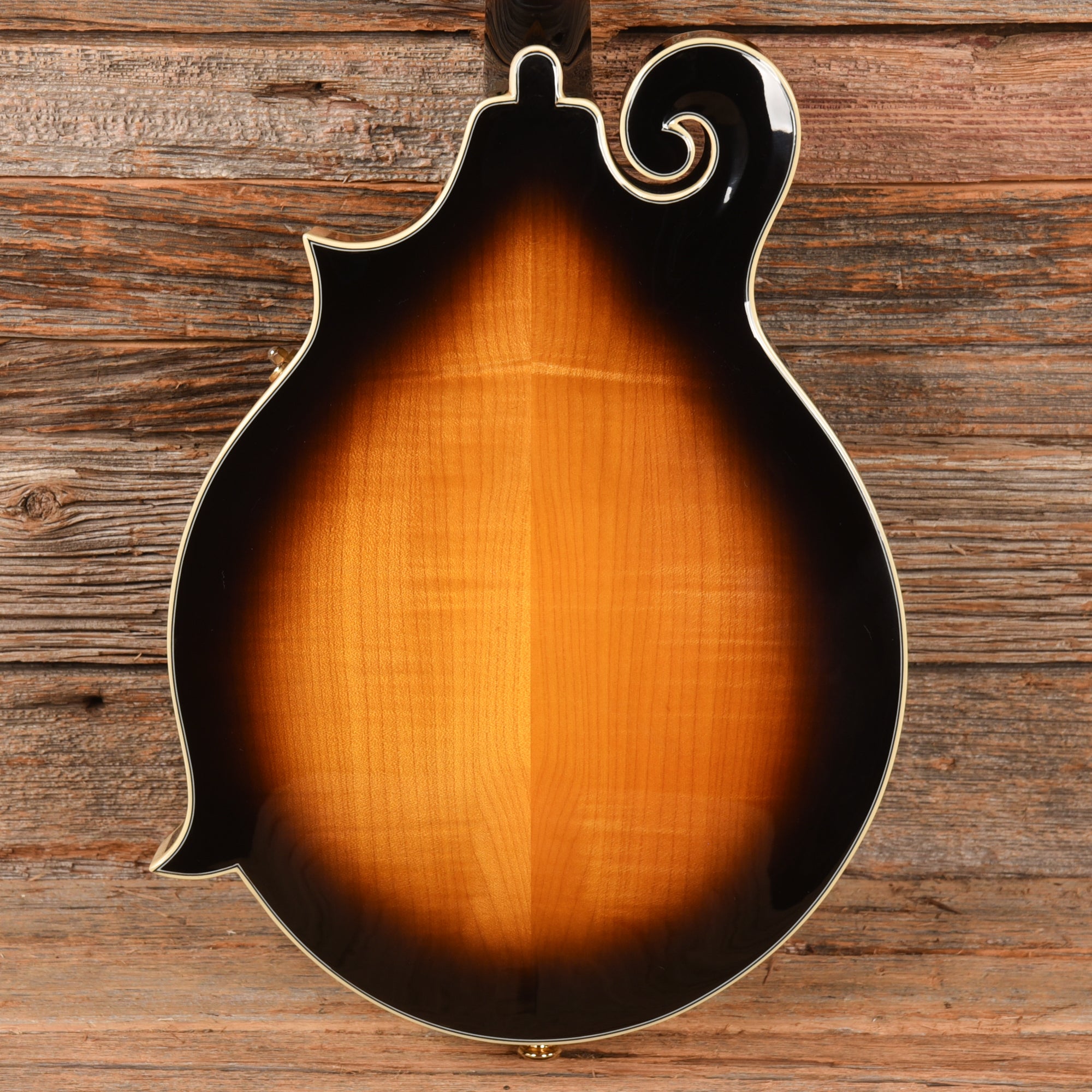 Fender FM-63SE Sunburst 2014 Folk Instruments / Mandolins