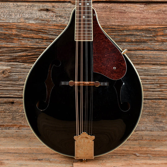 Fender FM35S Sunburst 2002 Folk Instruments / Mandolins