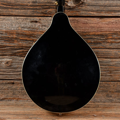 Fender FM35S Sunburst 2002 Folk Instruments / Mandolins