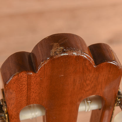 Framus Valencia Natural Acoustic Guitars