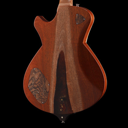 Frank Hartung Embrace Vegasus Electric Guitars / Solid Body