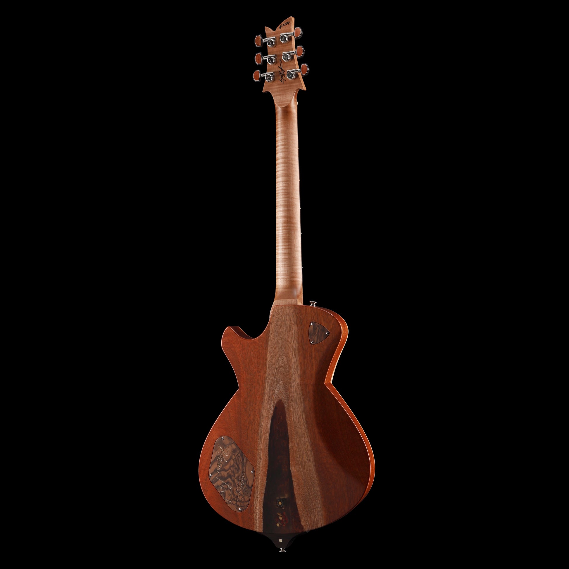 Frank Hartung Embrace Vegasus Electric Guitars / Solid Body
