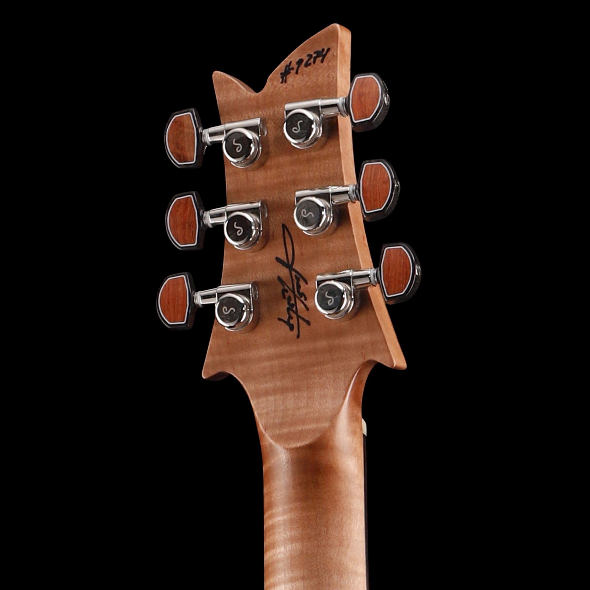 Frank Hartung Embrace Vegasus Electric Guitars / Solid Body