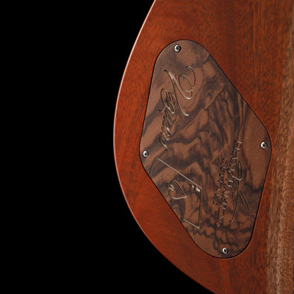 Frank Hartung Embrace Vegasus Electric Guitars / Solid Body