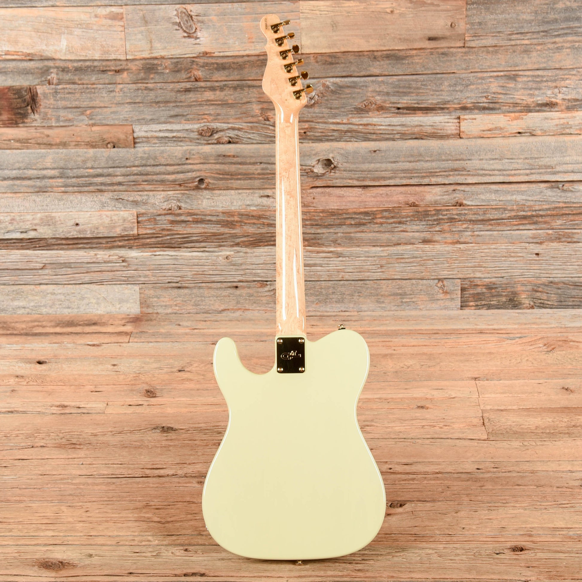 G&L ASAT Special Semi-Hollow White 2002 Electric Guitars / Semi-Hollow