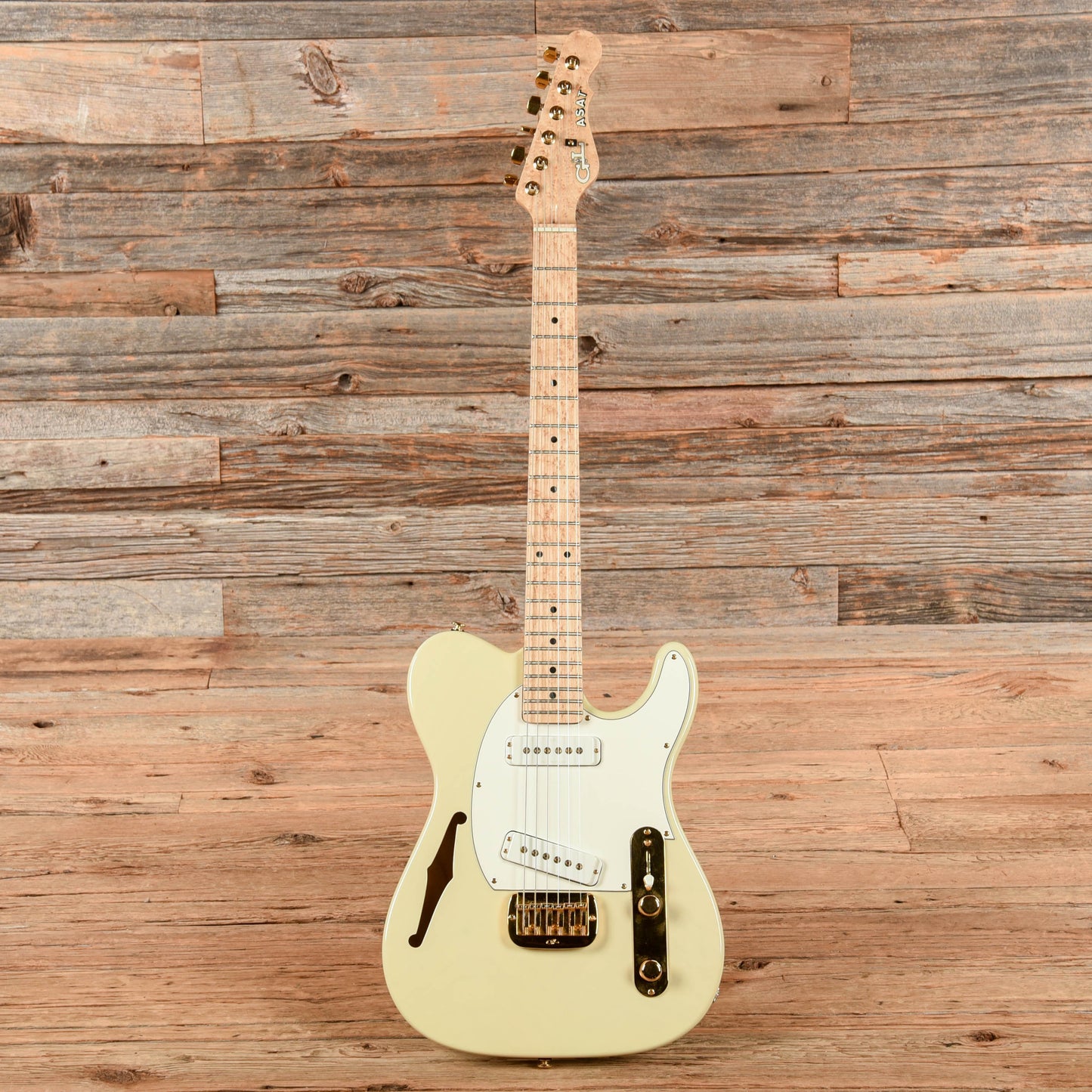 G&L ASAT Special Semi-Hollow White 2002 Electric Guitars / Semi-Hollow