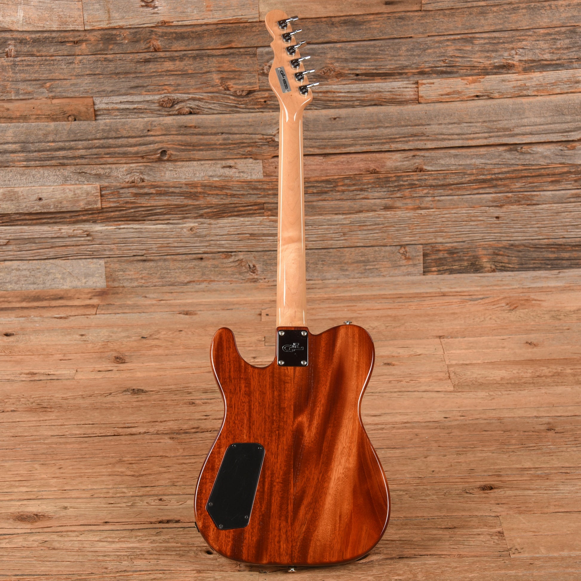 G&L USA ASAT Deluxe Natural Electric Guitars / Solid Body