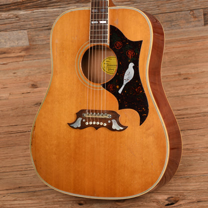 Gibson Dove Natural 1965 Acoustic Guitars / Dreadnought