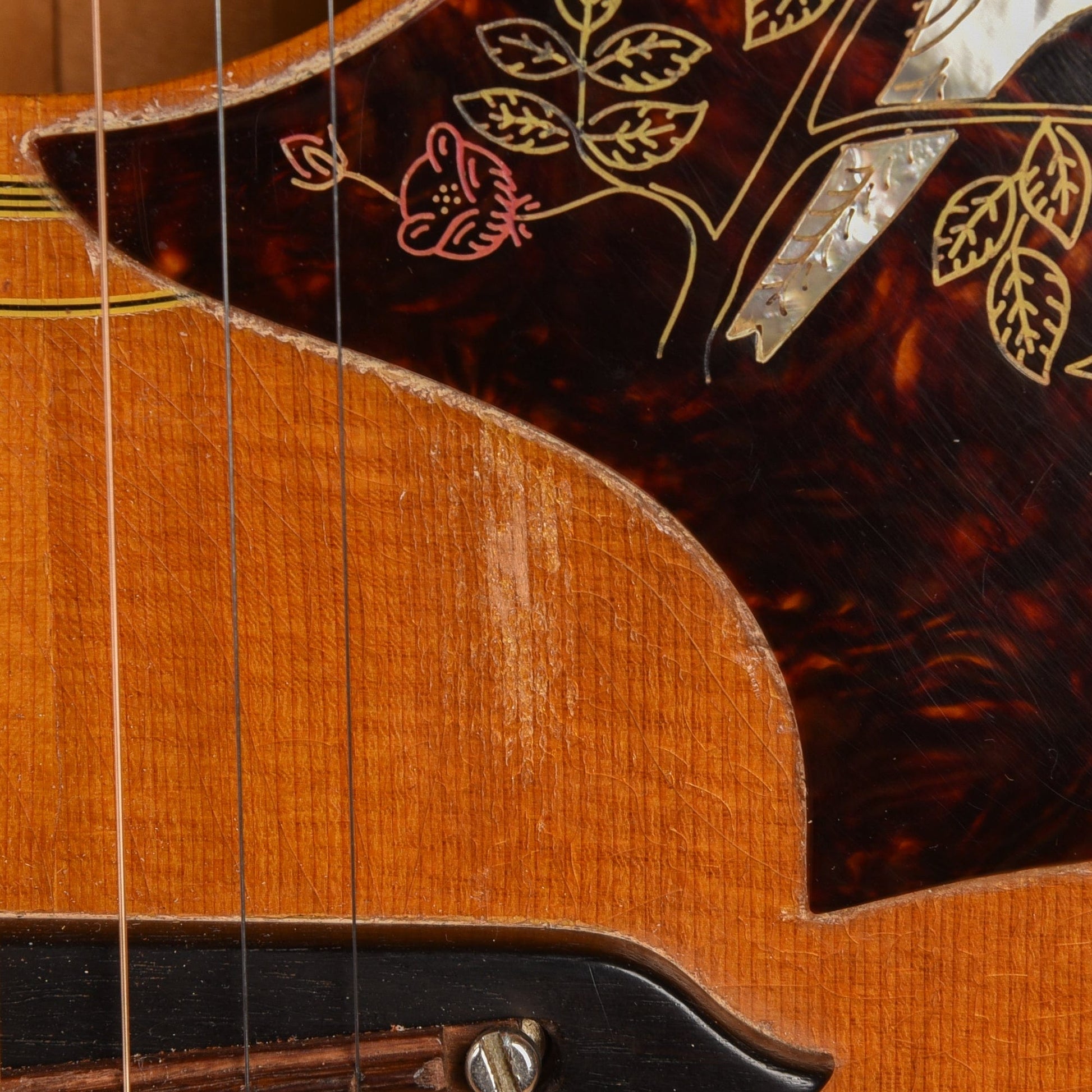 Gibson Dove Natural 1969 Acoustic Guitars / Dreadnought