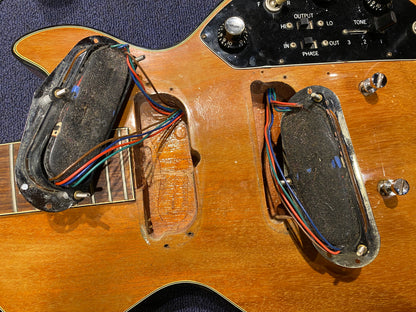 Gibson Les Paul Triumph Bass Walnut 1975 Bass Guitars / 4-String
