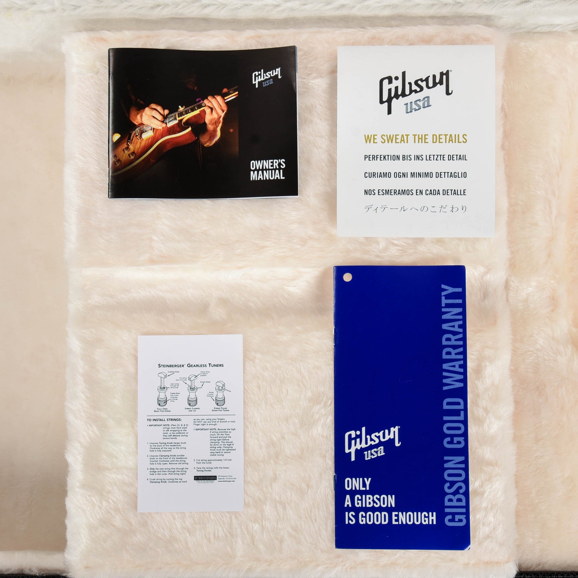 Gibson Firebird V Ebony 2012 Electric Guitars / Solid Body