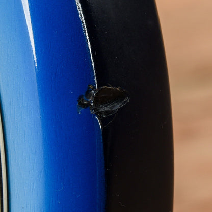 Gibson SG Goddess Sky Burst 2006 Electric Guitars / Solid Body