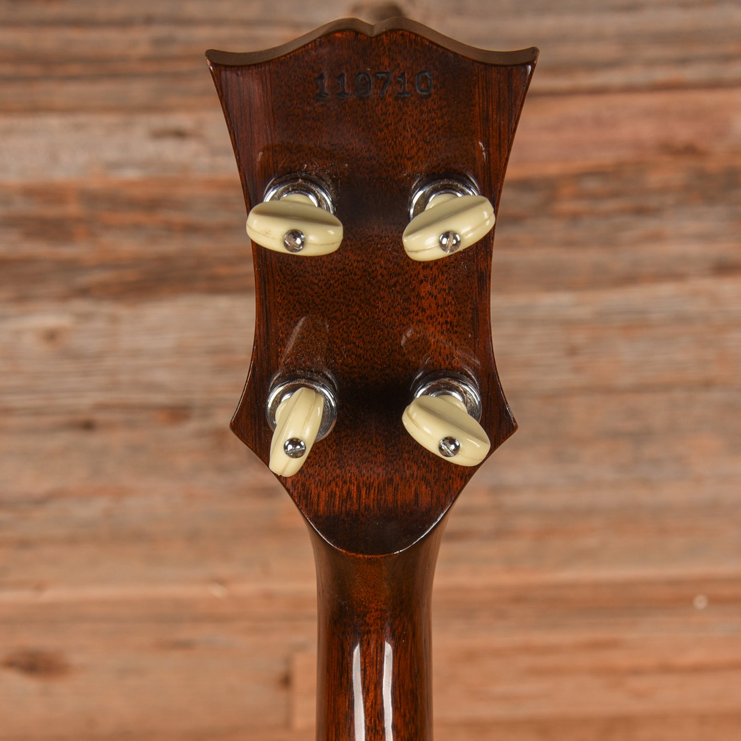 Gibson RB-170  1967 Folk Instruments / Banjos