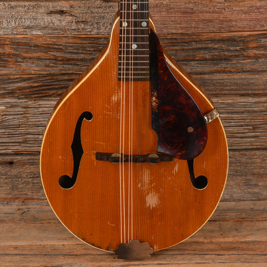 Gibson A-40 Natural 1953 Folk Instruments / Mandolins