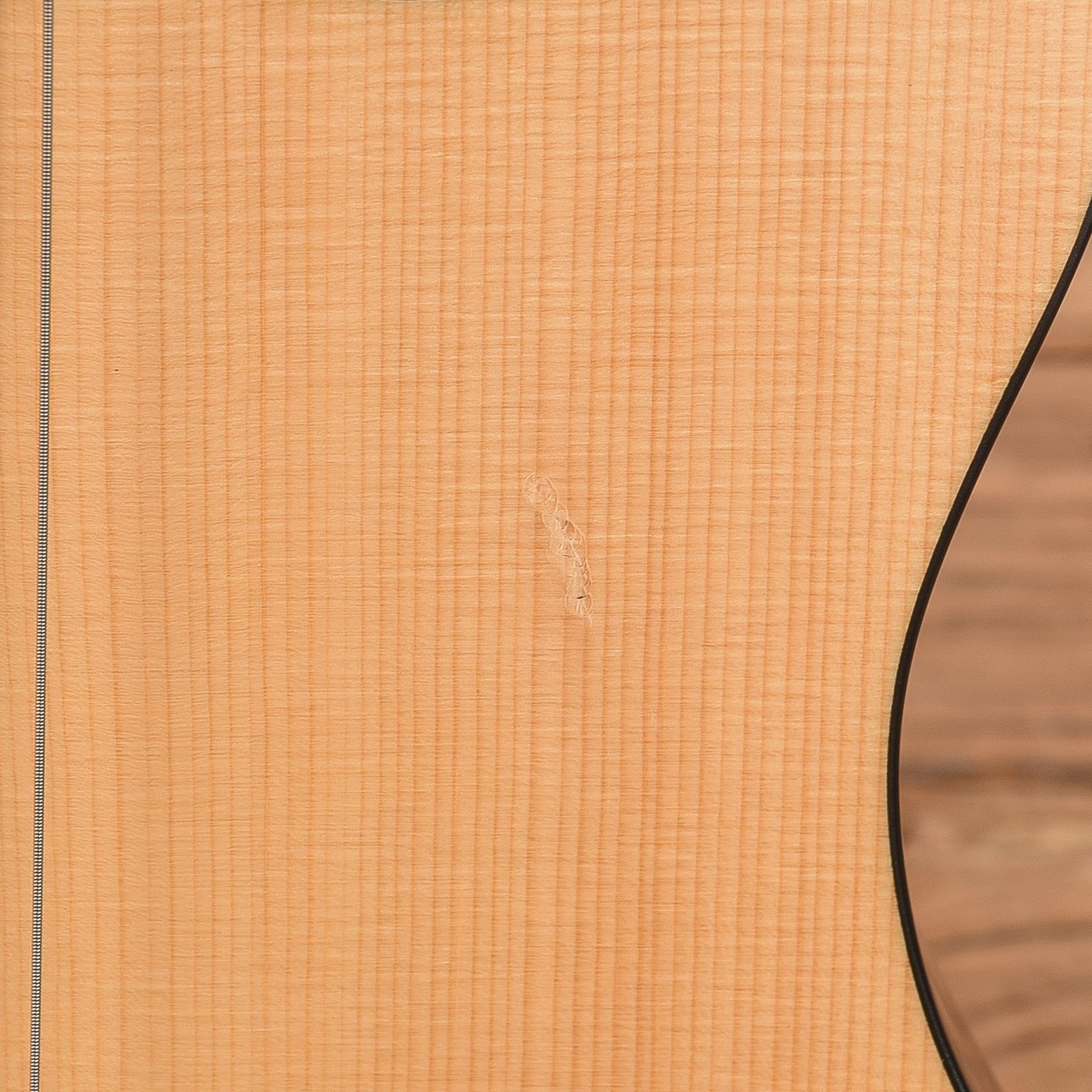 Godin A4 Ultra Natural 2014 Bass Guitars / 4-String