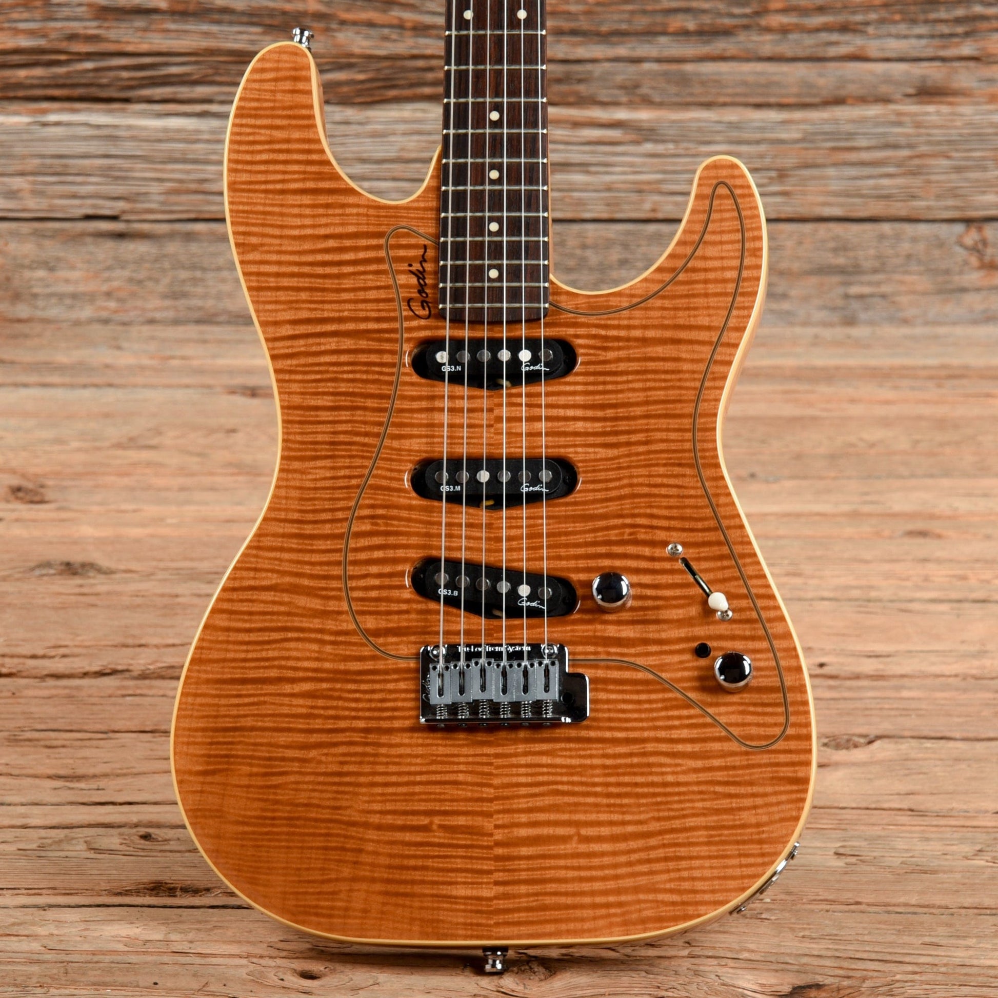 Godin RG-3 Electric Guitars / Solid Body