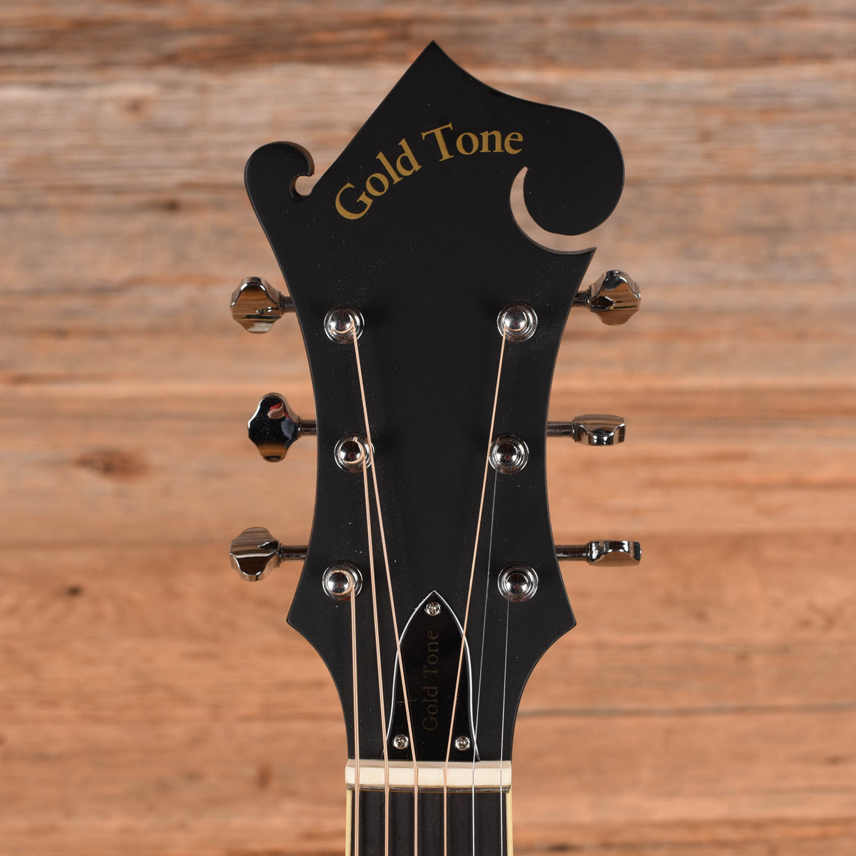 Gold Tone F-6 Manditar Sunburst Acoustic Guitars