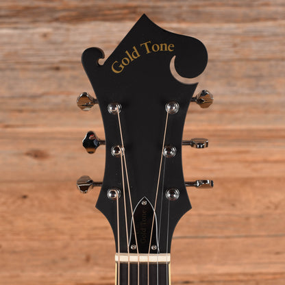 Gold Tone F-6 Manditar Sunburst Acoustic Guitars