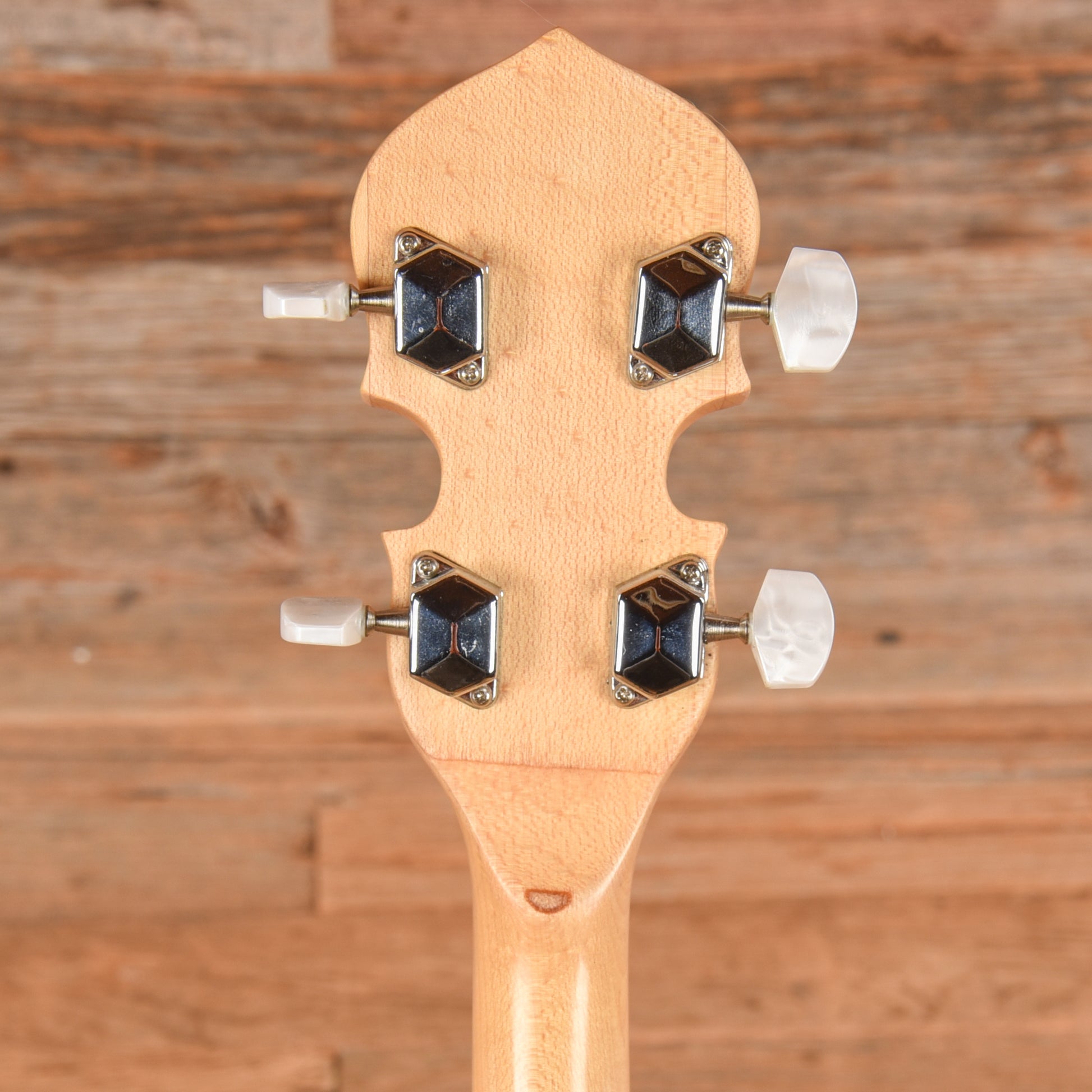 Gold Tone CC-Tenor Banjos