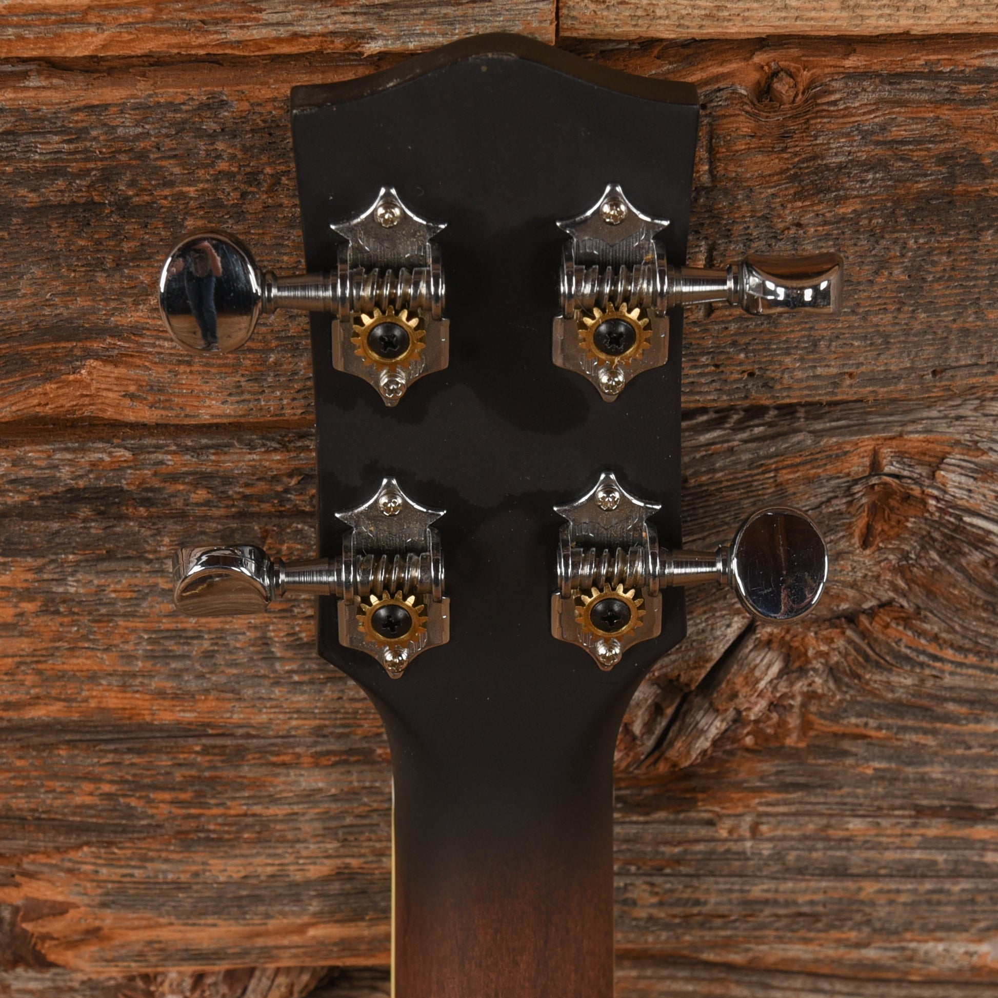 Gold Tone BUB Folk Instruments / Banjos