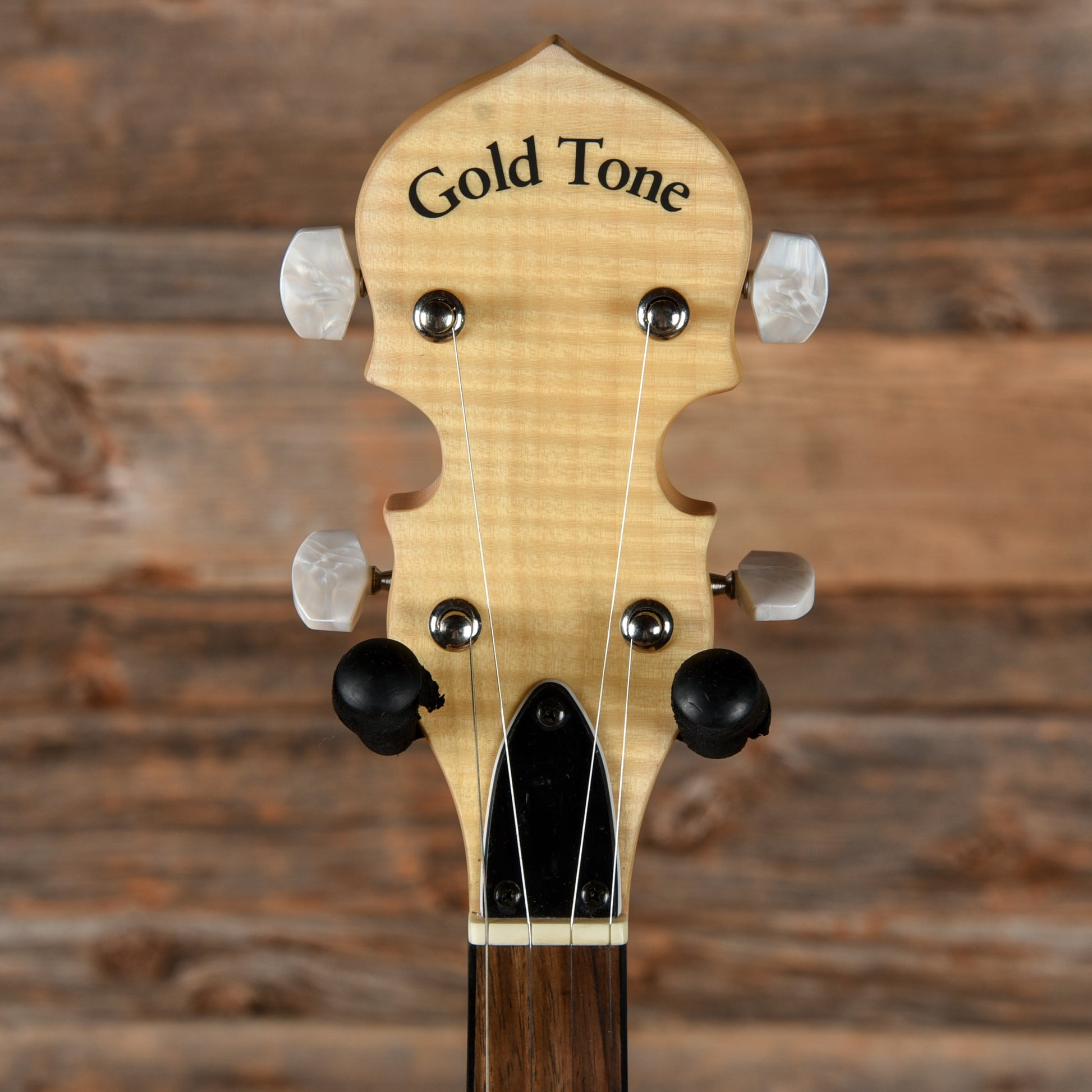 Gold Tone CC100R Folk Instruments / Banjos