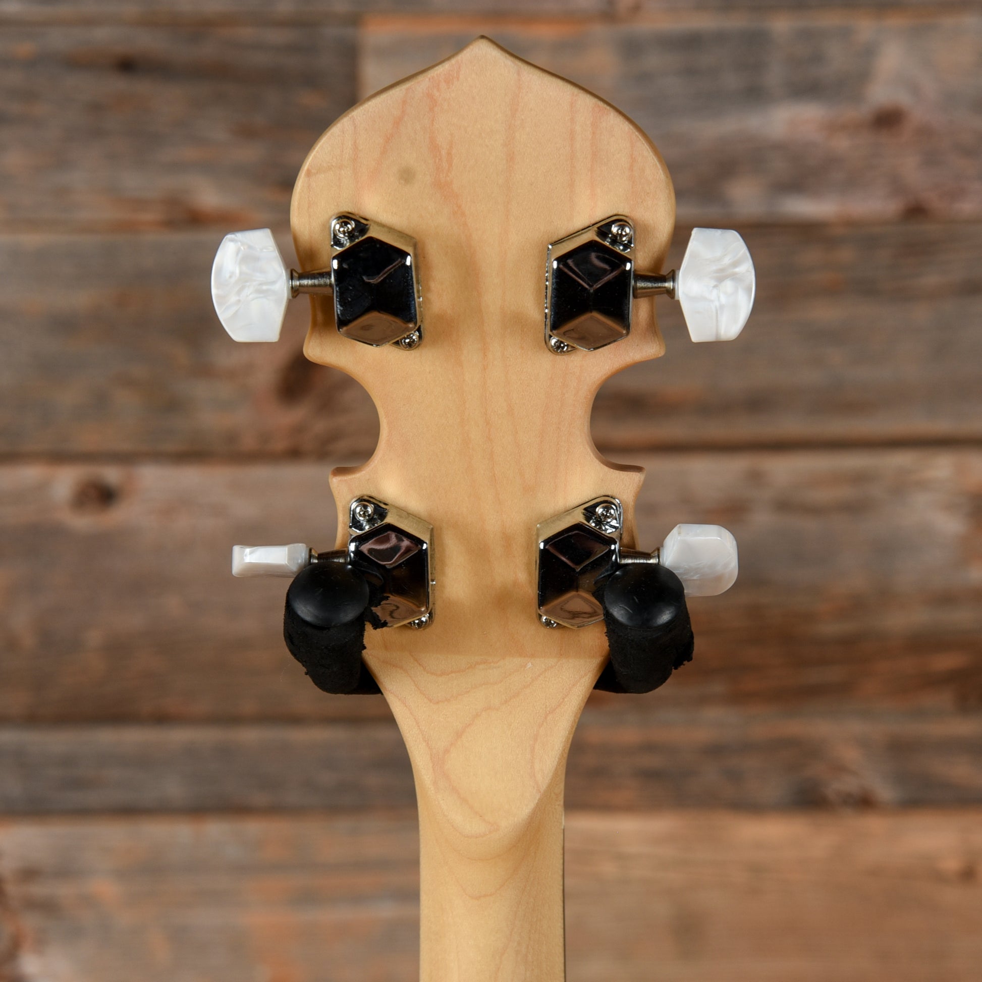 Gold Tone CC100R Folk Instruments / Banjos