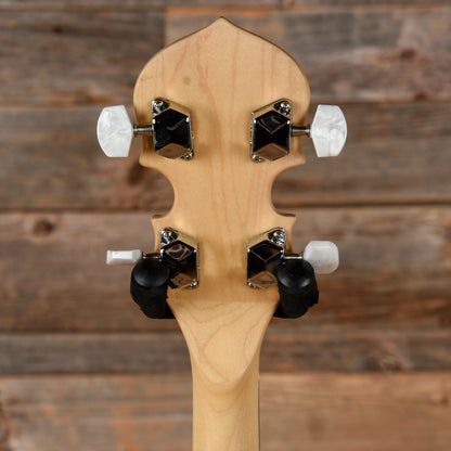 Gold Tone CC100R Folk Instruments / Banjos