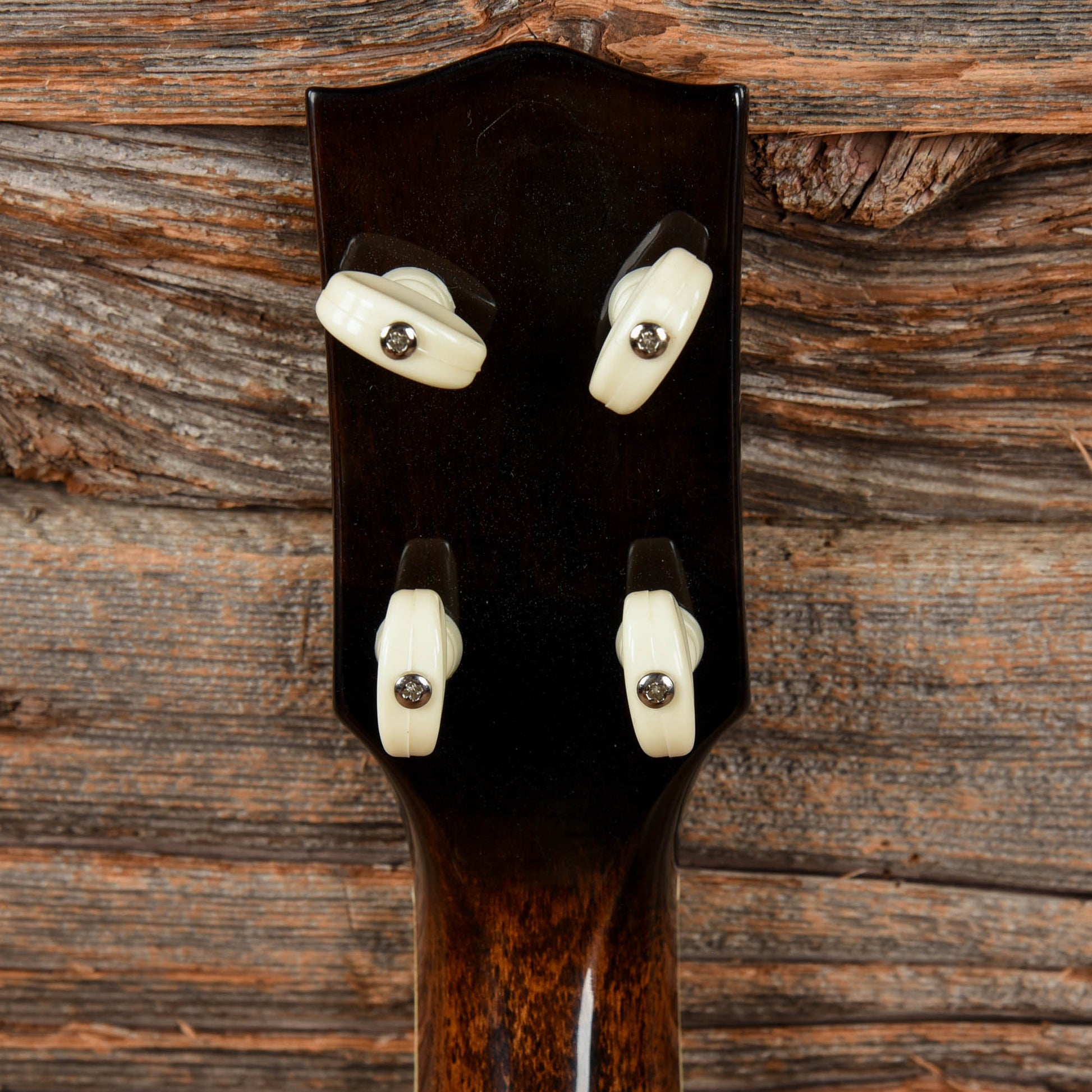 Gold Tone Concert Banjolele Folk Instruments / Banjos